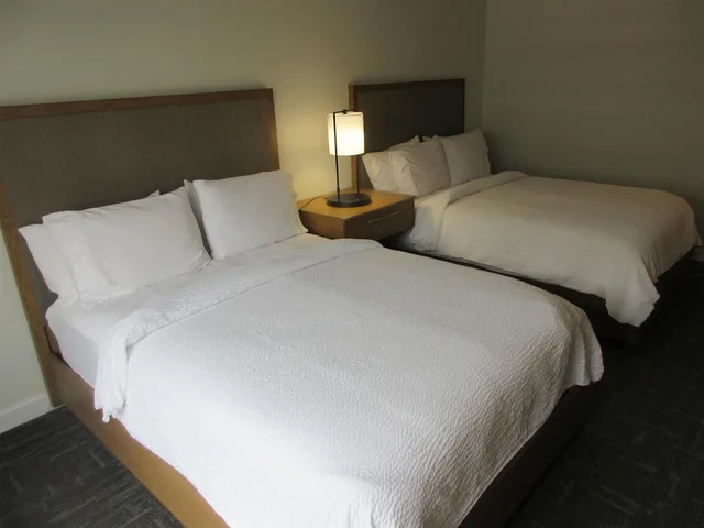 جناح بسريرين كوين مع أريكة بمنطقة جلوس، Holiday Inn Express Hotel And Suites Houston Downtown Convention Center 2/3