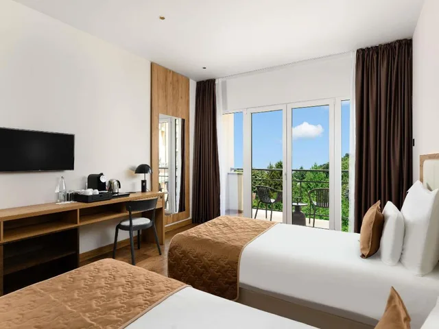غرفة قياسية بسريرين بإطلالة على المسبح بشرفة، Movenpick Resort and Spa Fruske Terme 2/4