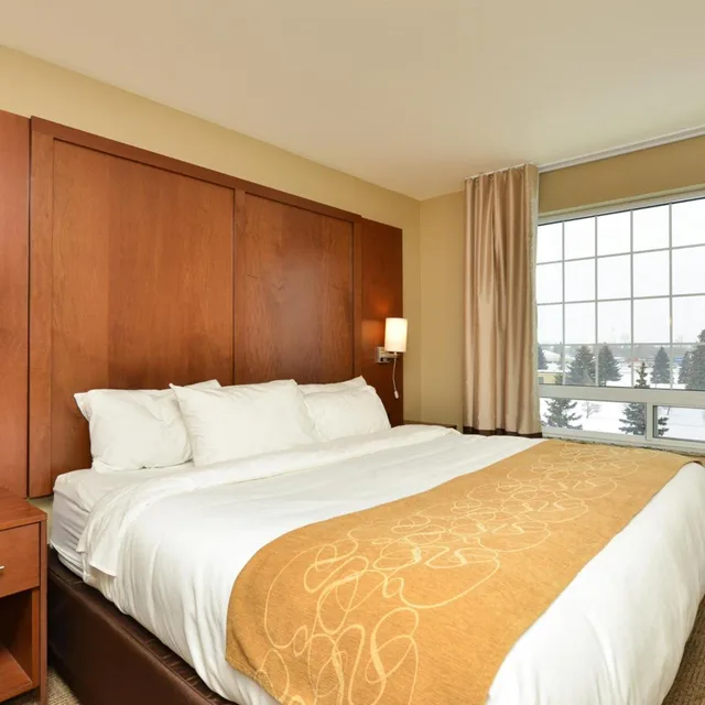 جناح بسرير كينج بمطبخ لذوي الإعاقة، Comfort Suites Minot South 1/3