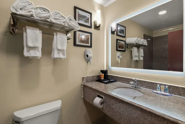 Standard, 2 Queen Beds, Comfort Inn and Suites Atoka 6/6
