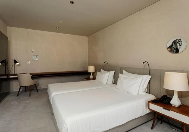 غرفة قياسية مفردة بسريرين منفصلين، Montebelo Vista Alegre Ilhavo Hotel 2/9