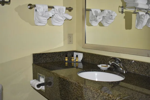 غرفة قياسية بسرير كينج مع أريكة، Best Western Plus Brunswick Inn & Suites 5/7