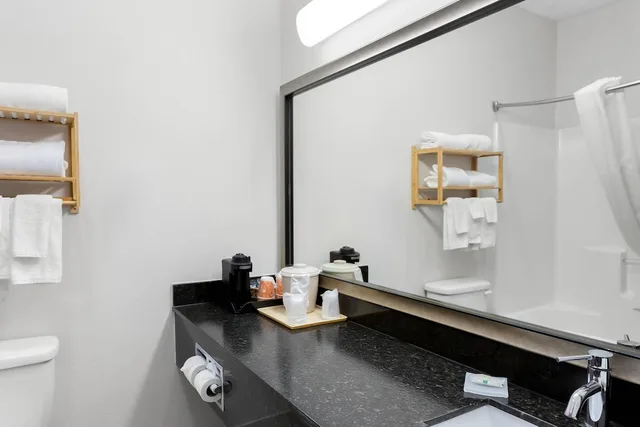 غرفة بزنس قياسية بسرير كينج، Quality Inn and Suites Niles 9/9