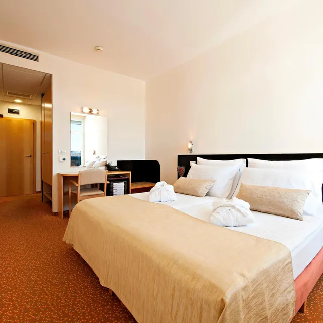 غرفة قياسية بسرير مزدوج، Radenci Spa Resort - Sava Hotels & Resorts 2/8