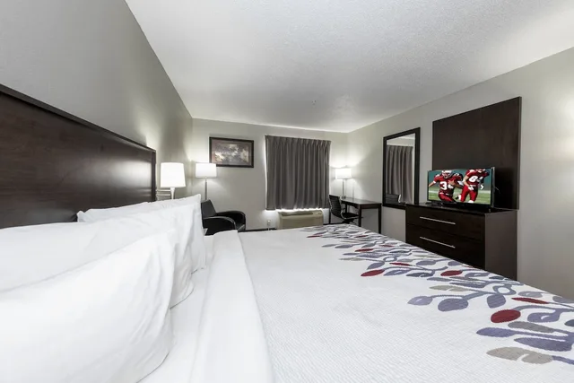 غرفة قياسية بسرير كينج لذوي الإعاقة، Red Roof Inn Atlanta Southeast 9/10