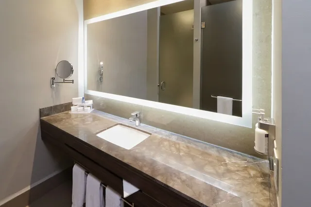 Ballpark, Standard, King Bed, Balcony، Holiday Inn Express Suites Monterrey Valle 5/10