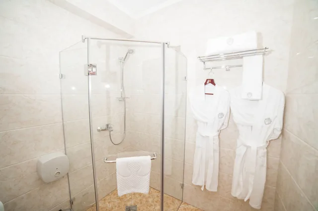 غرفة قياسية مزدوجة، The Plaza Hotel Almaty 7/7