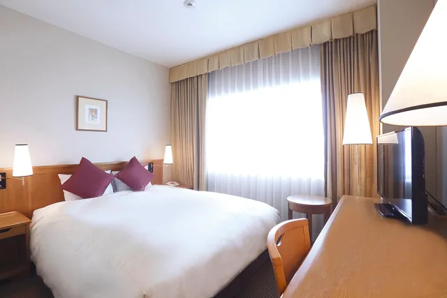 Room, Single, Twin Beds, Night View، Daiichi Hotel Ryogoku 1/1