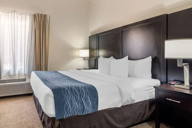 جناح بسرير كينج لذوي الإعاقة، Comfort Inn & Suites Atlanta/Smyrna 3/7