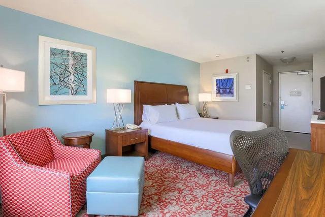 Evolution, King Bed، Hilton Garden Inn Nanuet 1/2
