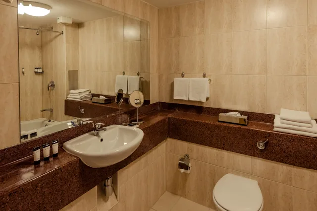 غرفة بسريرين منفصلين لذوي الإعاقة، Rochestown Lodge Hotel 4/5