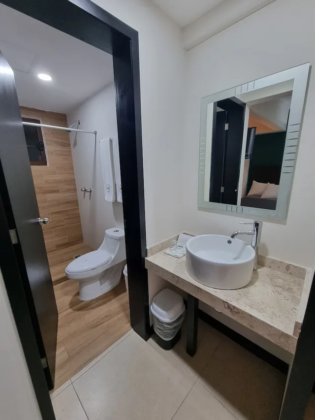 غرفة قياسية بسريرين مزدوجين، EMS Hoteles Centro Historico 5/5
