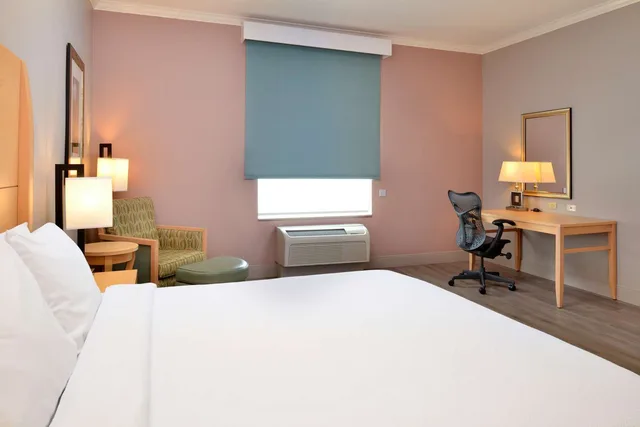 غرفة بسرير كينج بحوض استحمام لذوي الإعاقة، Hilton Garden Inn Denton 1/3