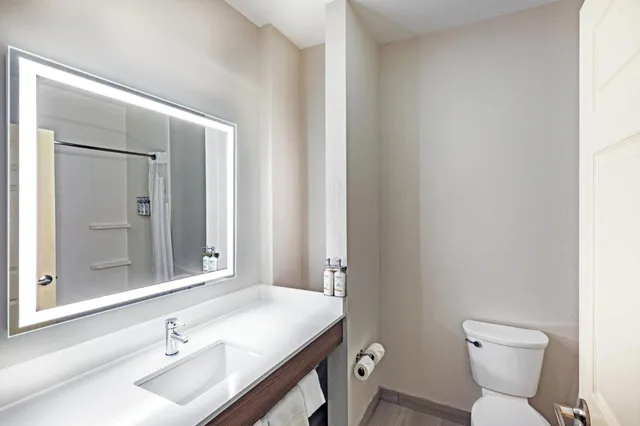 جناح بسرير كينج مع أريكة، Holiday Inn Express & Suites Houston Space Ctr - Clear Lake 8/8