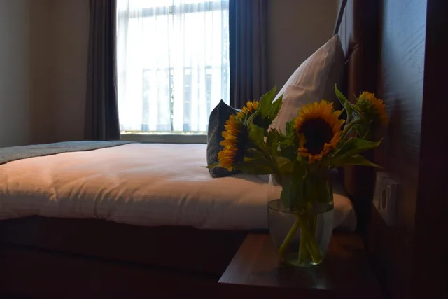 Small Double, Canal View, Ozo Hotels Armada Amsterdam 5/8