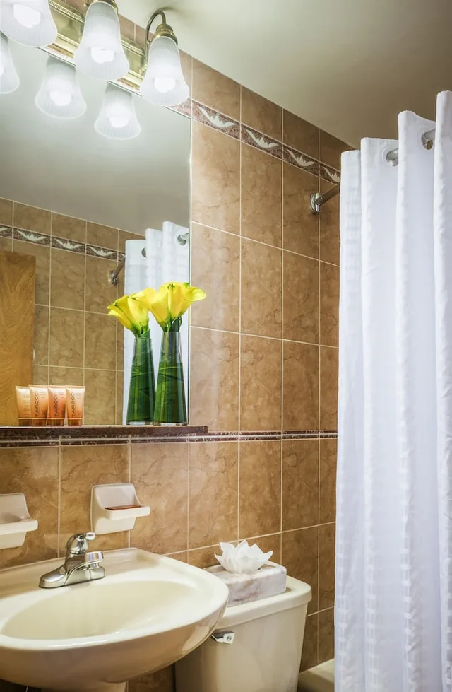 Standard King (Fit), The Belvedere Hotel 2/2