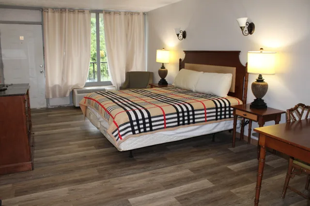Deluxe, Single, Queen Bed, ANS Inn & Suites 3/10