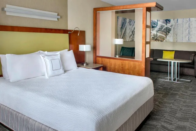 جناح بسرير كينج مع سرير سحّاب إضافي مع أريكة بحوض استحمام لذوي الإعاقة، Springhill Suites By Marriott Long Island Brookhaven 1/2