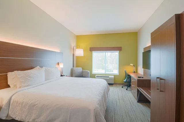 غرفة قياسية بسرير كينج، Holiday Inn Express Hotel Suites Tampa Usf Busch Gardens 4/9
