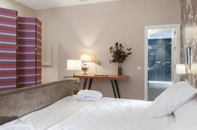 جناح سوبيريور بسرير كينج، Suites Murillo Segovias 6/10