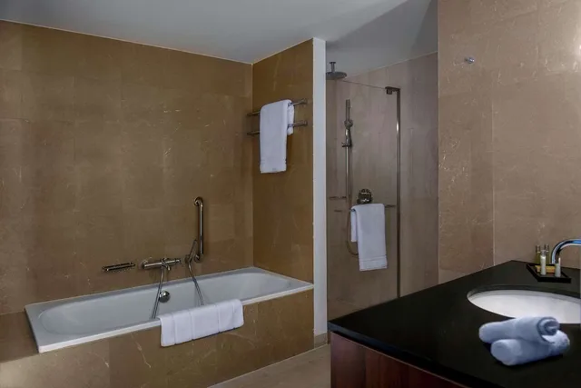 غرفة بسريرين منفصلين لذوي الإعاقة، Hilton Beirut Downtown 6/6