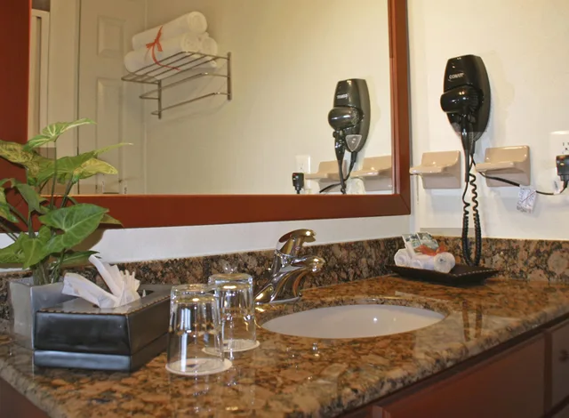 غرفة قياسية بغرفة نوم واحدة، Paradise Village Beach Resort & Spa 2/2