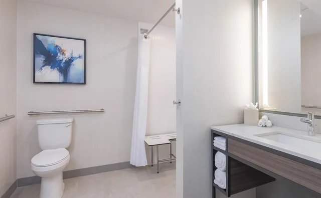Presidential, Suite, King Bed, 1.5 Bathrooms, Sofa, Accessible، Hilton Garden Inn Des Moines/Urbandale 4/7