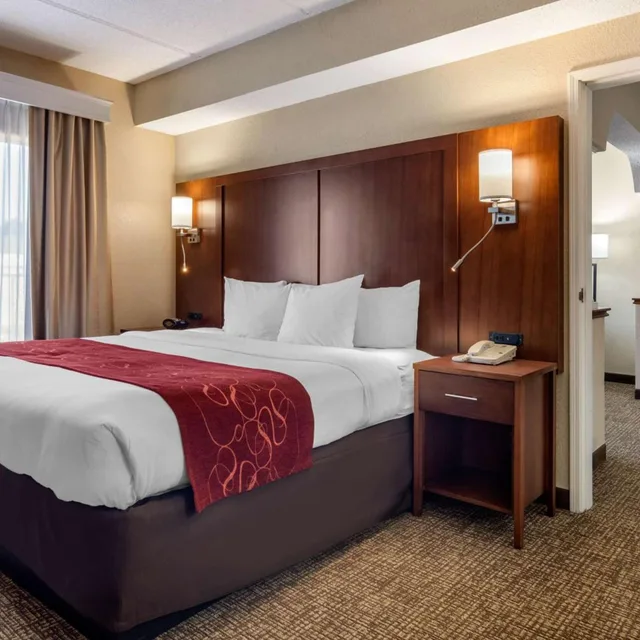جناح تنفيذي بسرير كينج، Comfort Suites Woodstock - Atlanta North 1/6