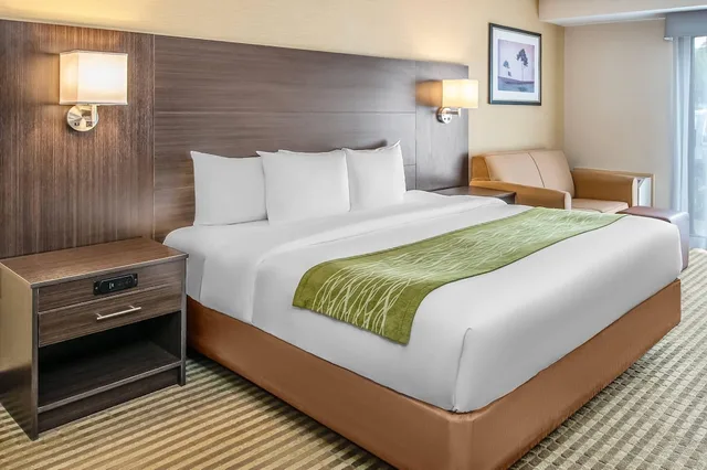 غرفة بسرير كينج مع أريكة لذوي الإعاقة، Comfort Inn Chatham 1/5