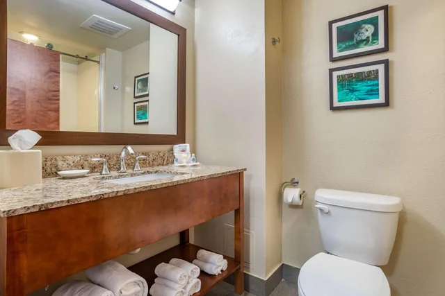 غرفة بسرير كينج، Comfort Suites Tallahassee Capitol - University Area 8/8