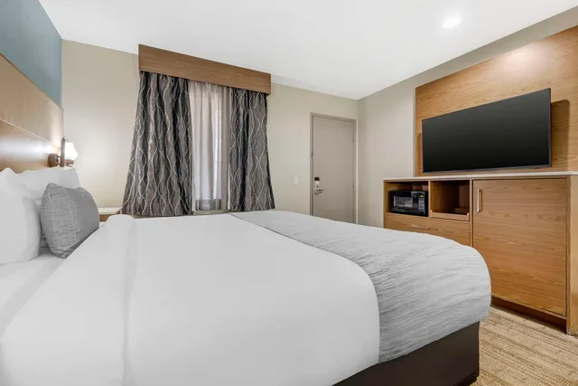 غرفة بسرير كينج يُسمح فيها بالحيوانات الأليفة، Best Western Carlsbad by the Sea 2/4
