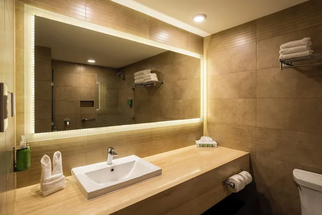 غرفة قياسية بسرير كينج لذوي الإعاقة، HOLIDAY INN GUATEMALA 6/6