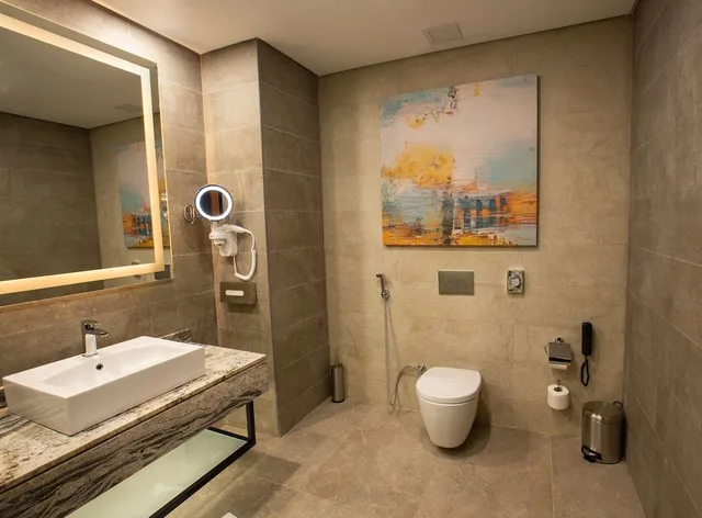 غرفة بريميوم بشرفة، Radisson Blu Alexandria 5/6