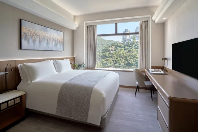 جناح ديلوكس، Hopewell Hotel 2/4