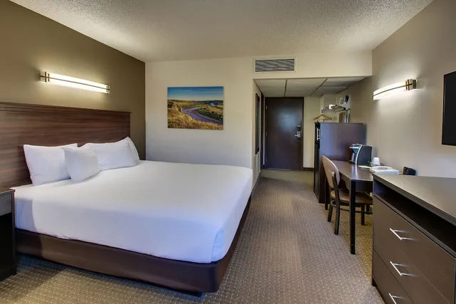غرفة ديلوكس بسرير كينج مع أريكة، Expressway Inn 1/5