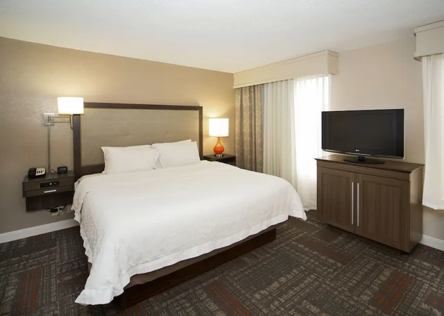 استوديو بسرير كينج مع أريكة، Hampton Inn and Suites Valdosta Conference Center 2/3