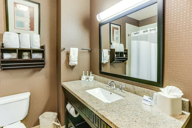 Standard, King Bed, Accessible, Holiday Inn Express Hotel And Suites Huntsville 2/2