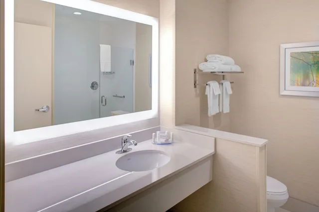 Executive, Suite, Multiple Beds, Accessible, FAIRFIELD INN & SUITES DETROIT CANTON 2/3