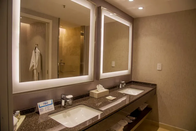 جناح بريميوم بسرير كينج، Hilton Pilar 2/3