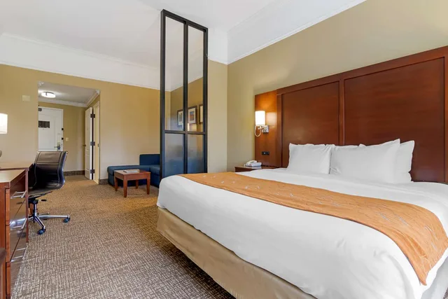 جناح بسرير كينج لذوي الإعاقة، Comfort Suites Port Wentworth - Savannah North 1/3