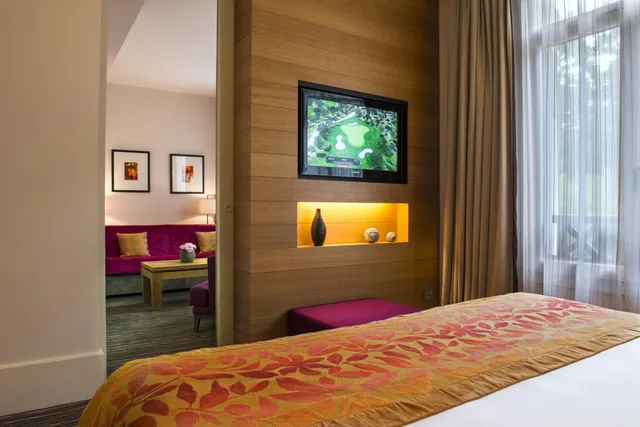 جناح جونيور بسرير كينج، Hotel Ermitage Evian Resort 1/10
