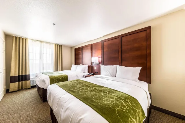 Suite, Multiple Beds، Comfort Suites Grand Prairie Arlington North 2/3