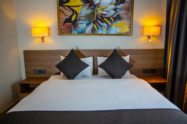 جناح ديلوكس بسرير مزدوج، Istanbul Park Hotel 1/6