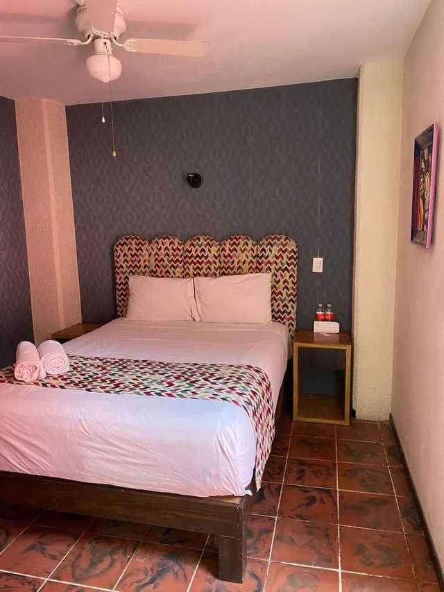 غرفة قياسية بسرير كوين، Hotel Flamingos 1/4
