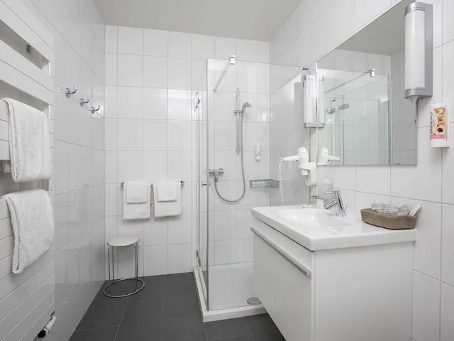 Junior Suite, Double Bed, Sofa, IBIS LOCARNO 5/5