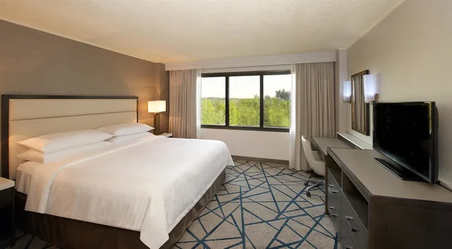 Suite, King Bed, Sofa, Embassy Suites by Hilton Portland Washington Square 1/2