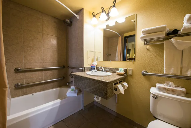 Grand, Lodge, Suite, King Bed, Pet Friendly، Grand Lodge Crested Butte 4/4