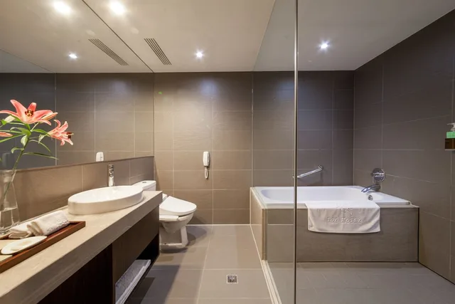 جناح بزنس بسرير مزدوج، Sol Hotel 8/8
