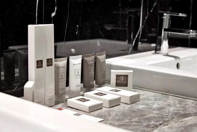 جناح بريميير بغرفة نوم واحدة، THE FACE Suites 2/3