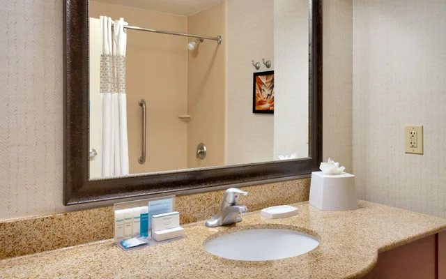 Study, King Bed, Accessible، Hampton Inn And Suites Show Low Pine Top 9/10